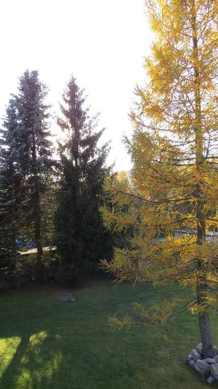 V+V Pension Harrachov Exteriör bild